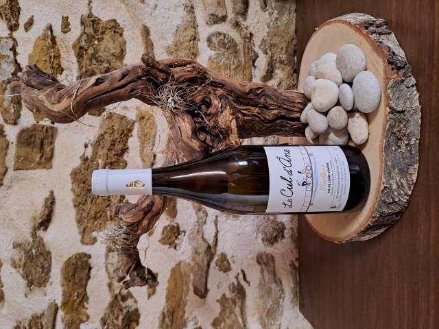 Sp�ciale cul d��ne